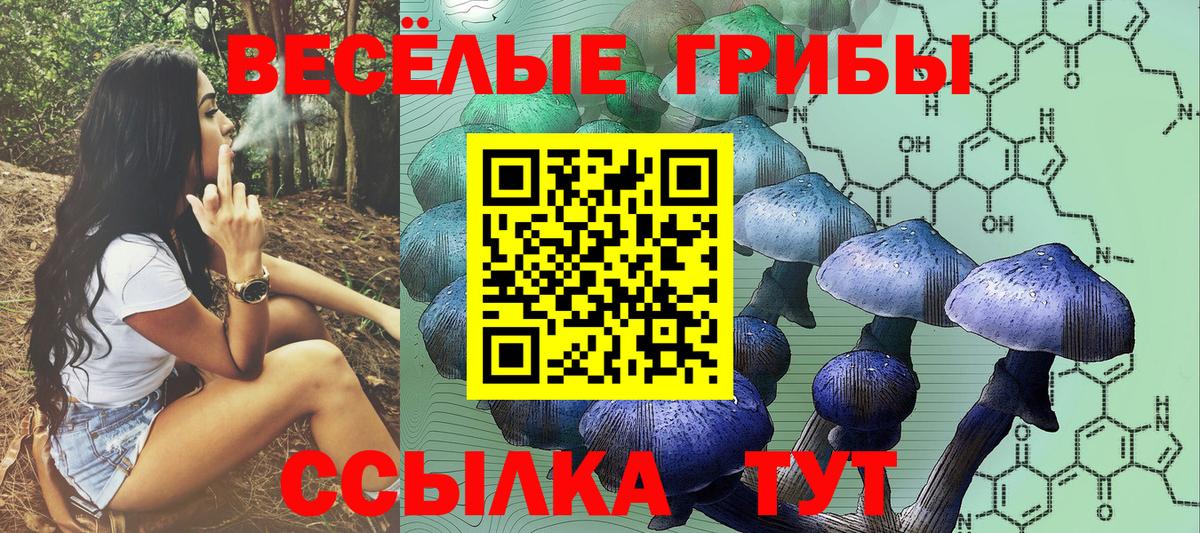 Биробиджан  Галлюциногенные грибы Cubensis  Вход с VPN 