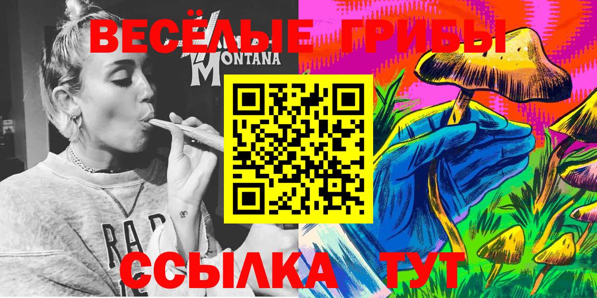 Псилоцибиновые грибы Psilocybine cubensis Биробиджан
